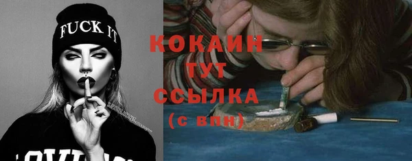 шишки Армянск