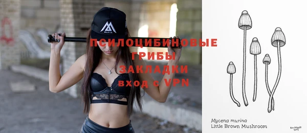 прущие крисы Алексеевка