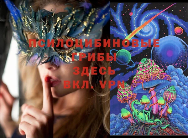 стафф Богданович