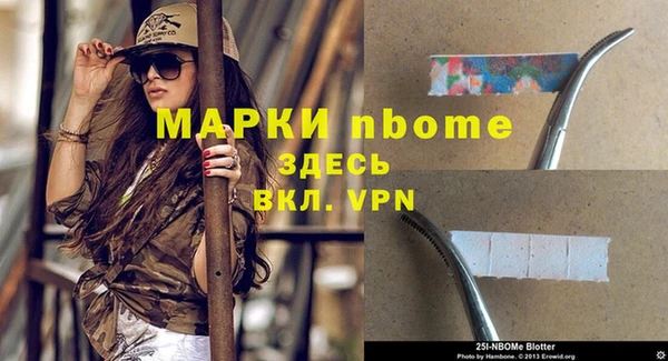 шишки Армянск