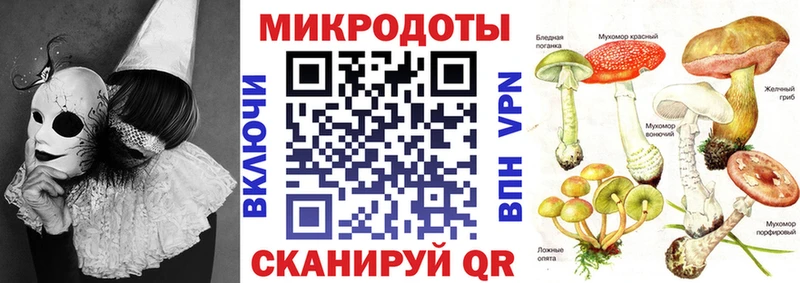 Псилоцибиновые грибы прущие грибы где купить наркотик Кубинка