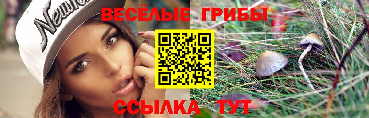 Кубинка  Псилоцибиновые грибы Psilocybine cubensis  Вход с VPN 
