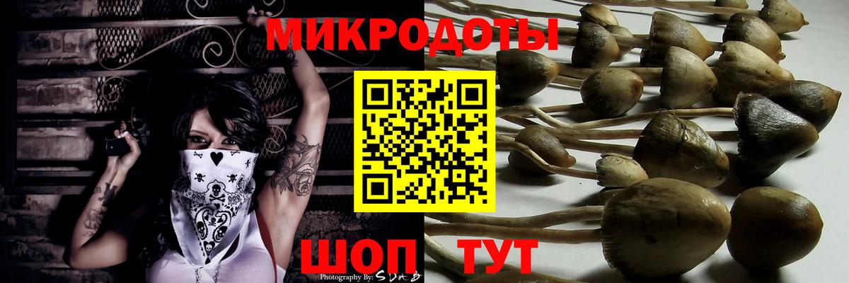 Галлюциногенные грибы прущие грибы Кубинка